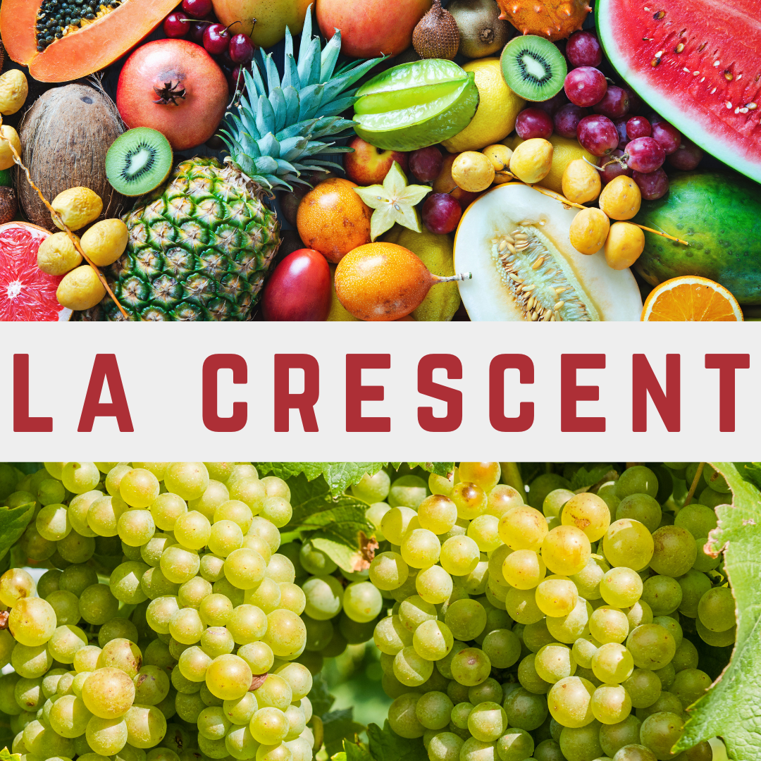 La Crescent "The Aromatic Grape of the Cold"