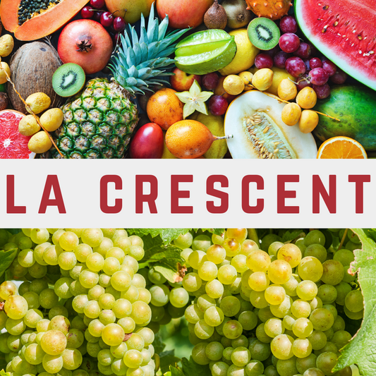 La Crescent "The Aromatic Grape of the Cold"