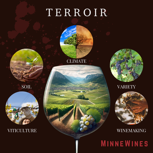 Discovering Terroir