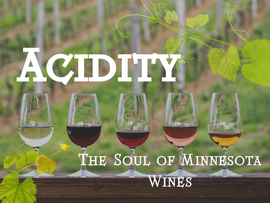 Acidity: The Vibrant Soul of Minnesota Wines