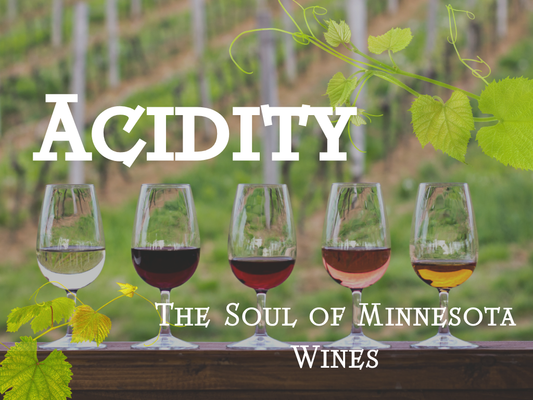 Acidity: The Vibrant Soul of Minnesota Wines